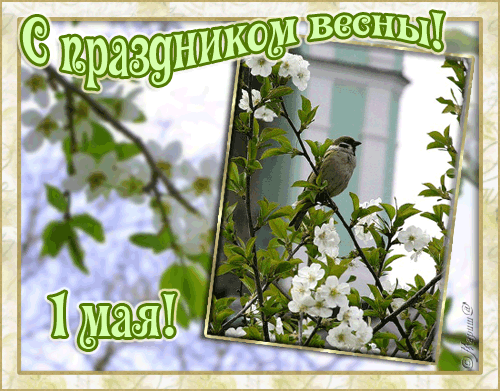 http://s0.tochka.net/cards/images/orig_cc527141e95ce109fac9b346f50c3968.gif